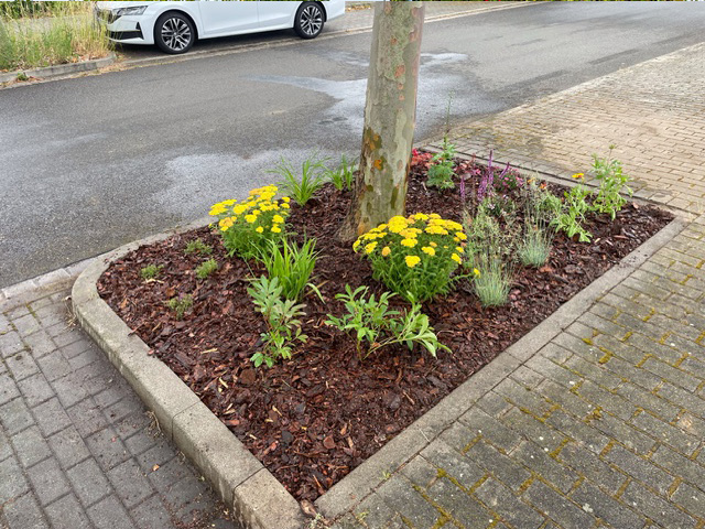 Garten- und Landschaftsgestaltung - Zaunbau